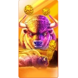 Buffalo
King